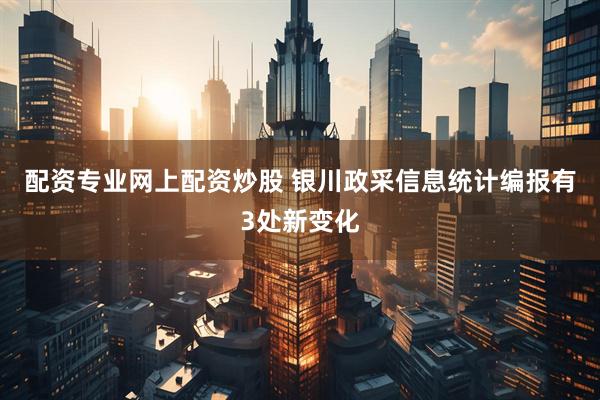 配资专业网上配资炒股 银川政采信息统计编报有3处新变化